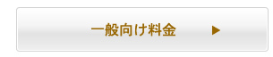一般向け料金